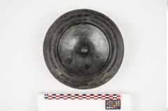 Foto von Bronzephalere (NHMW-PRAE-025107)